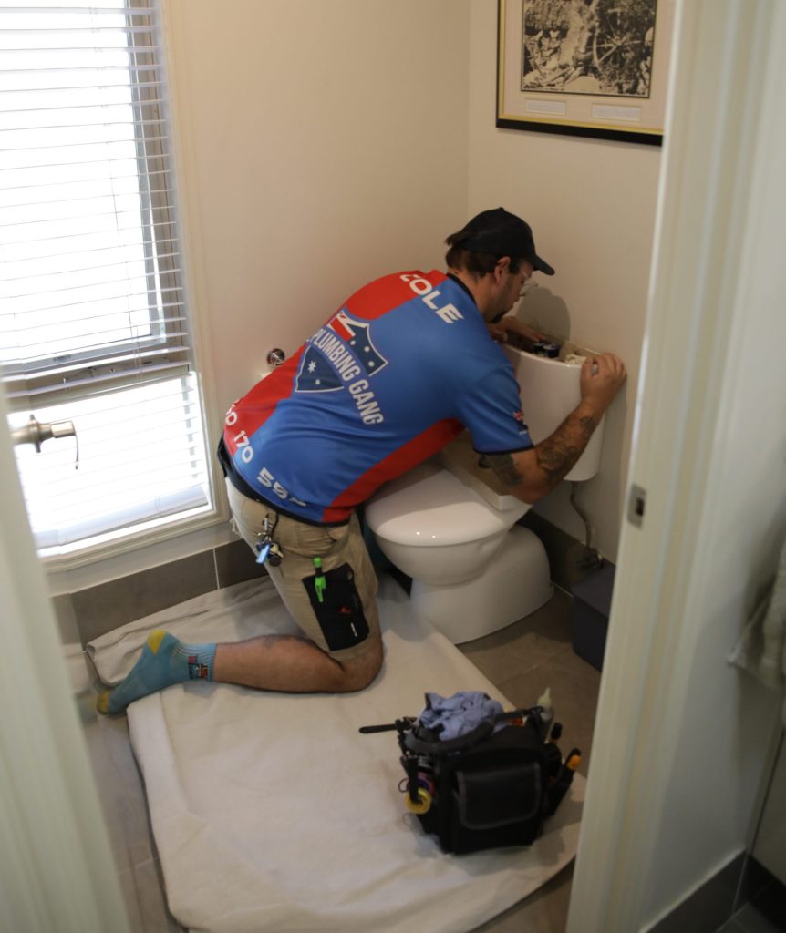 Plumber unblocking a toilet