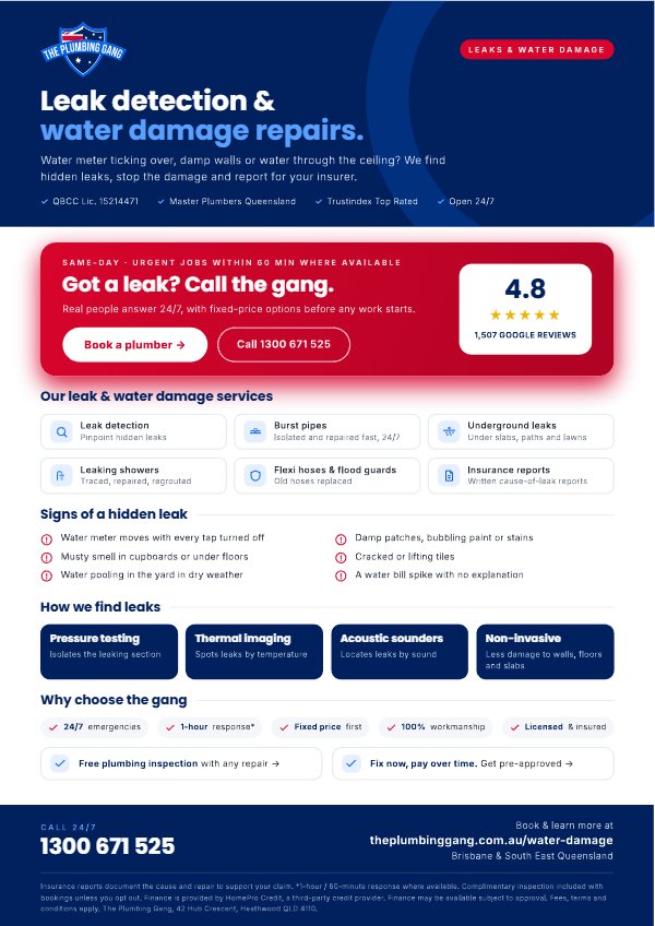 Preview of The Plumbing Gang leak detection and water damage flyer